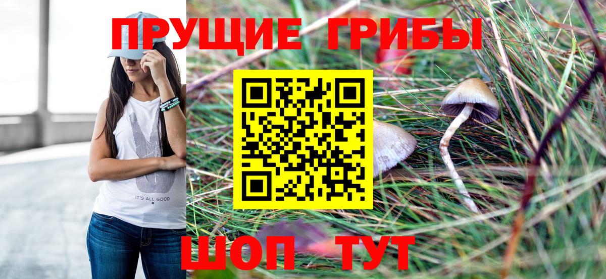 Советский  Псилоцибиновые грибы GOLDEN TEACHER  Вход с VPN 