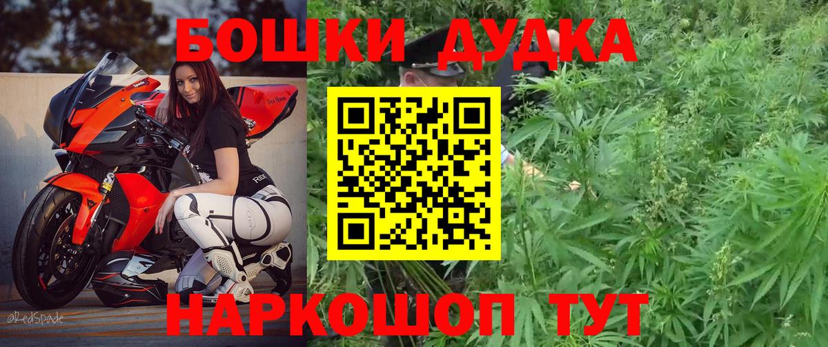 Бошки марихуана ГИДРОПОН  Марихуана планчик  Советский  Каннабис Bruce Banner  Вход с VPN 